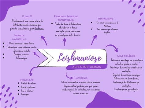 Mapas Mentais Sobre Leishmaniose Study Maps