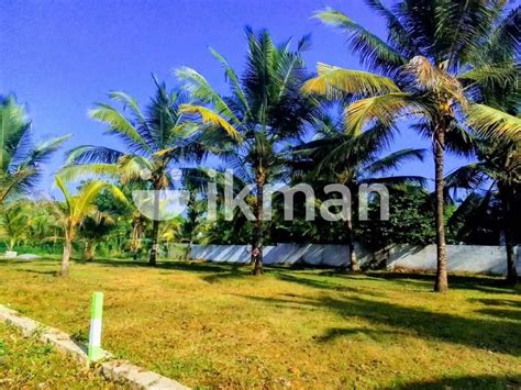 Land For Sale Kalutara Bandaragama Ikman