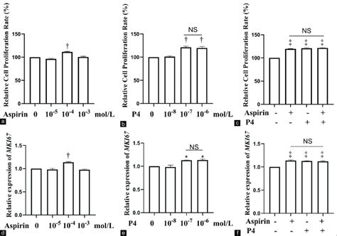 Aspirin And Progesterone Promote The Proliferation Of Htr Svneo