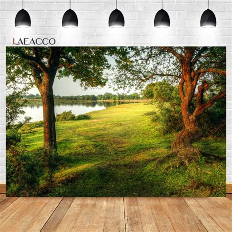 Spring Scenery Backdrop Rural Forest Trees Woodland Meadow Grass Flower