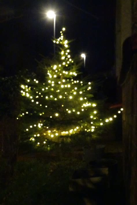 O, TANNENBAUM ...!