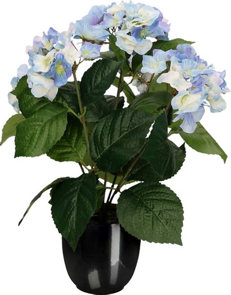 Hortensia Kunstplant Kunstbloemen 40 Cm Blauw In Pot Zwart Glans