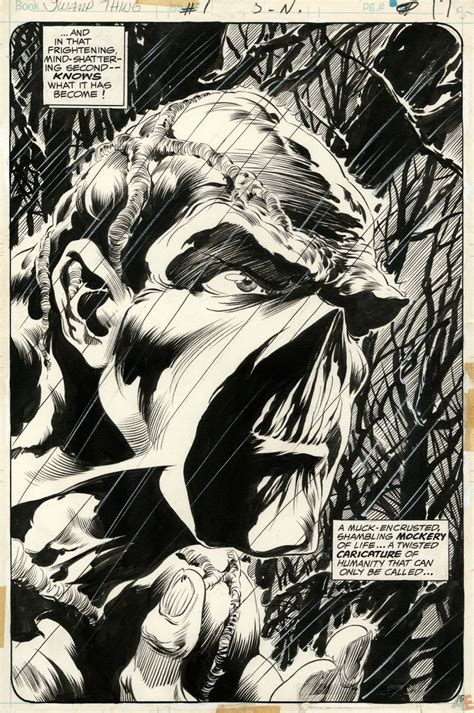 Cap N S Comics Swamp Thing Splash By Berni Wrightson