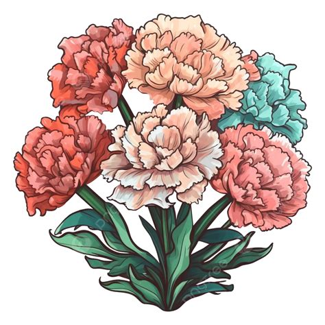 Carnation Bouquet Colorful Beautiful Pattern Carnation Pattern