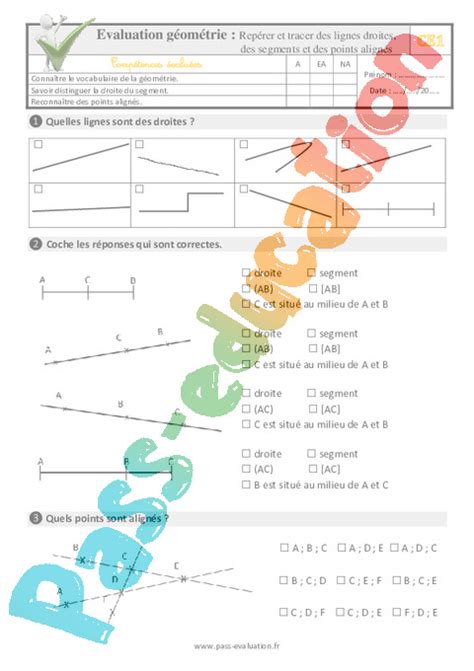 Evaluation Quiz QCM Point droite et segment CE1 pdf à imprimer