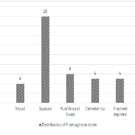 Pseudomonas aeruginosa strain isolated from different samples ... 