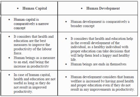 Cbse Class 11 Economics Human Capital Formation In India Worksheet