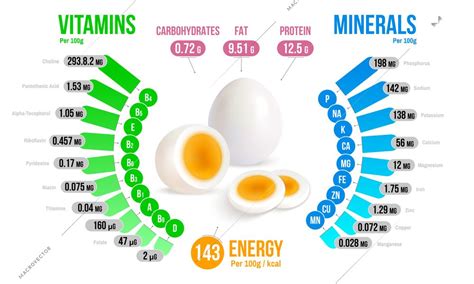 Egg Nutrients Infographics Diagram Showing Vitamins Minerals