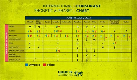 The Ipa Alphabet How And Why You Should Learn The International Phonetic Alphabet With Charts