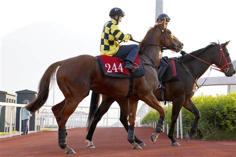 新聞 從化馬場 香港賽馬會