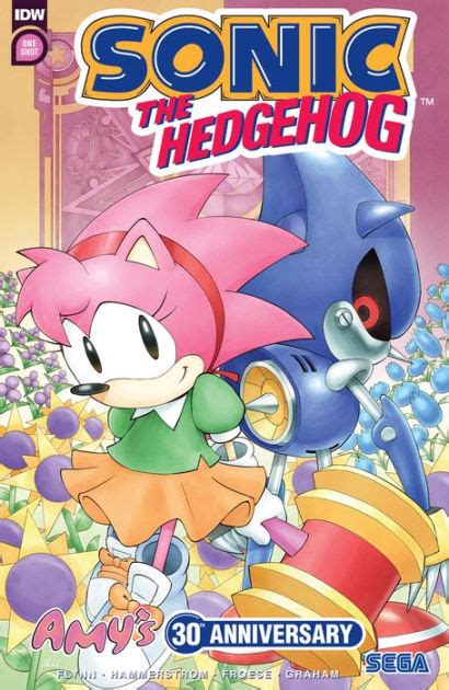 Sonic The Hedgehog Amys 30th Anniversary Special By Ian Flynn Aaron