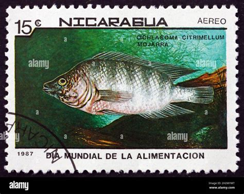 Nicaragua Circa A Stamp Printed In Nicaragua Shows Midas