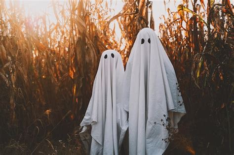 Premium Photo Cute Ghosts In Cornfield Background