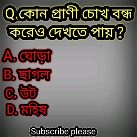 কোন প্রাণী চোখ বন্ধ করেও দেখতে পায় Shorts Youtubeshorts Gk Youtube