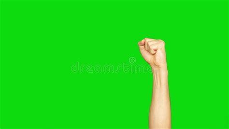 Male Clenched Fist On Left Hand Isolated On Green Background Man Hand Fist Up Stock Footage