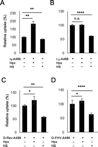 Hemopexin As A Potential Binding Partner Of Arginine Rich Cell