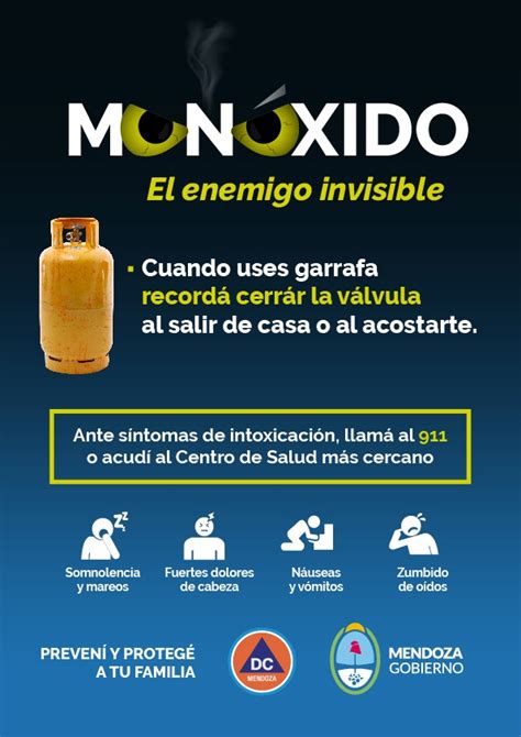 Recomendaciones En El Hogar Para Evitar Intoxicaci N Con Mon Xido De