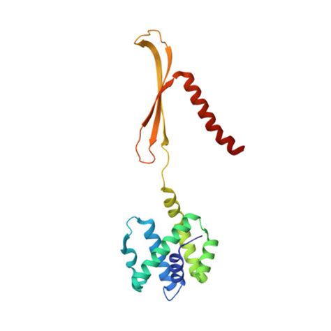 RCSB PDB 8F2R Human CCC Complex