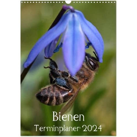 Agenda Des Abeilles Calendrier Mural Din A Vertical