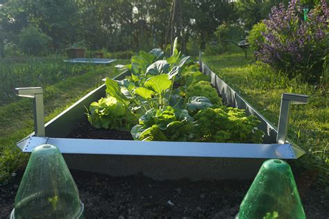 Prueba De Valla Cerca Anti Caracoles Y Babosas Barreras Para Babosas