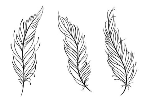 Feather Outlines Clip Art Library