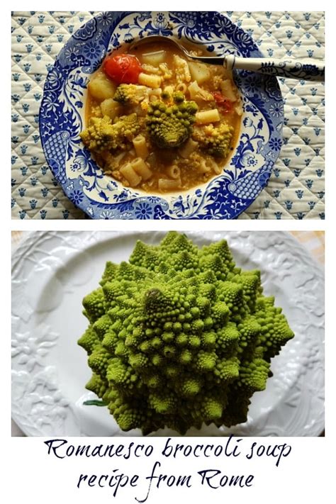 Romanesco broccoli pasta soup – The Pasta Project