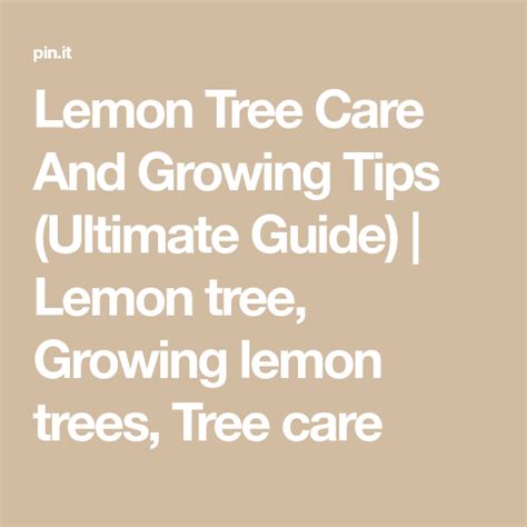 Lemon Tree Care And Growing Tips (Ultimate Guide) | Lemon tree, Growing ...