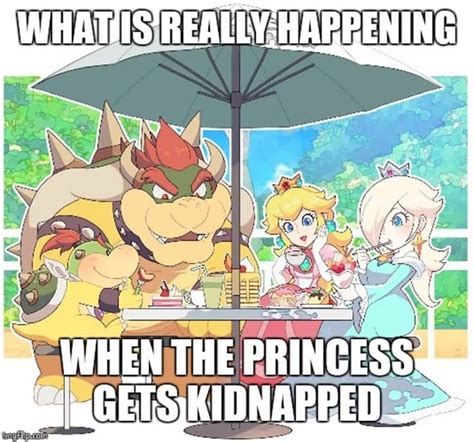 Best Memes About Mario And Peach's Relationship