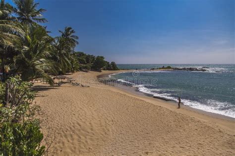 Beach at Matara, Sri Lanka editorial stock image. Image of unidentified ...