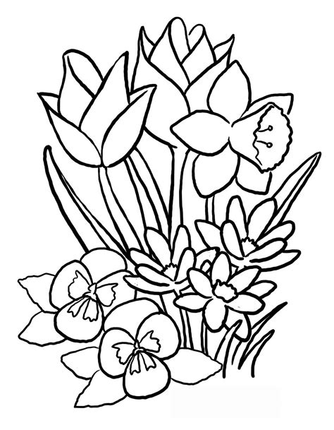 Pictures Of Flowers To Trace - ClipArt Best