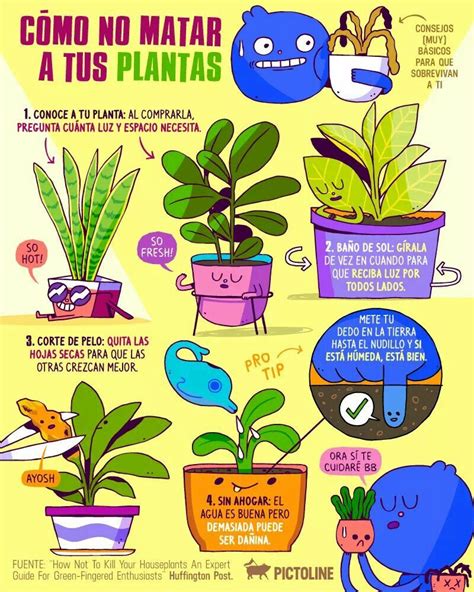 Cuidar Las Plantas Para Colorear