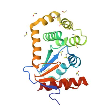 Rcsb Pdb Dg Crystal Structure Of Ecdsba In A Complex With Dmso