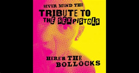 Tribute To The Sex Pistols Tribute Starsのアルバム Apple Music