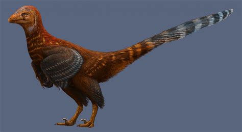 Newly Discovered Feathered Dinosaur Sheds Light On The Evolution Of