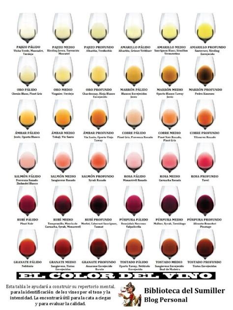 LA INFOGRAFÍA COMPLETA DEL COLOR DEL VINO Biblioteca del Sumiller