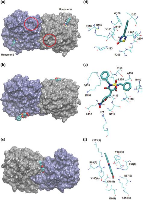 A C Predicted Binding Mode Of Compounds 1 3 According To The Data