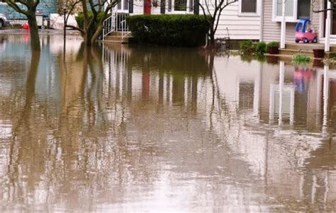 4 Tips to Fix a Flooded Basement and Prevent Mold | Stamford, CT Patch