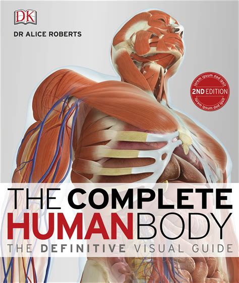 Body Muscle Anatomy Books A Female Body Anatomy For Books In Layers