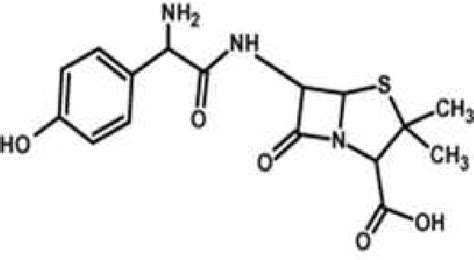 The Chemical Structure Of Amoxicillin Amx Download Scientific Diagram