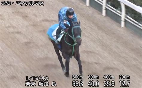 【根岸ステークス2022予想オッズ】一週前追い切り・調教評価 ゆうちゃりすの競馬ときどき一口馬主ブログ