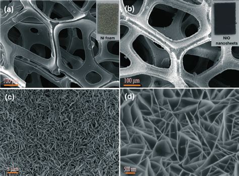 Sem Images Of The Ni Foam A Nio Nanosheets On Ni Foam B D With