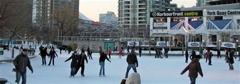 From Ice Rinks to Festivals: Your Guide to Seasonal Activities in ...