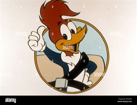 Woody woodpecker cartoon hi-res stock photography and images - Alamy