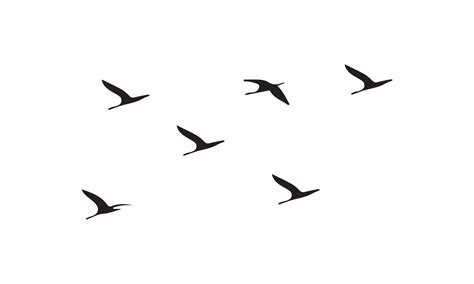 Flying Birds Silhouette 14894237 Vector Art at Vecteezy