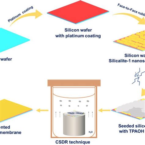 The Schematic Diagram Of The B Oriented Silicalite 1 Membrane