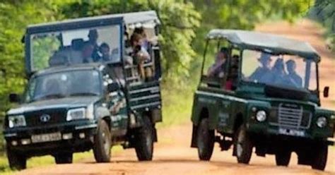 From Ella Transfer To Galle Mirissa Bentota With Yala Safari GetYourGuide