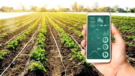 Some Thoughts On The Role Of Artificial Intelligence In Agriculture