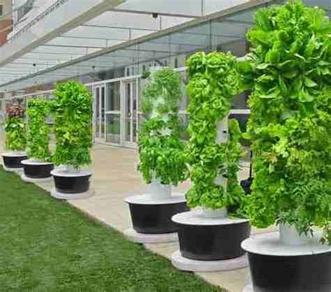 Vertical Hydroponic Farming Systems Information | Agri Farming