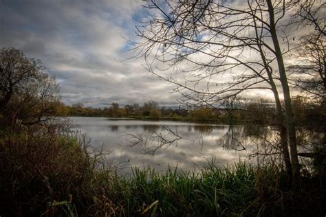 The Secret Lake Behind A Tip Thats Loved By Levenshulme Locals