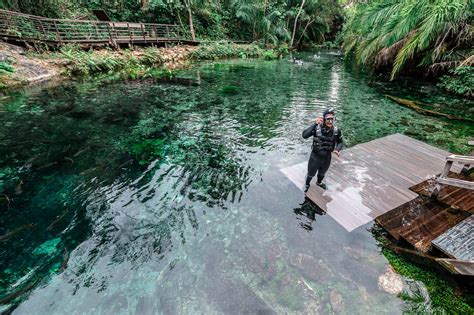 Nascente Azul Flutuação em Bonito MS Bonito XP Agência